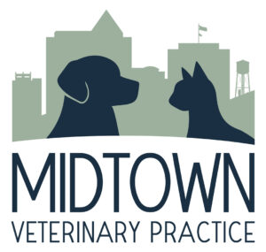 Midtown Veterinary Practice-final