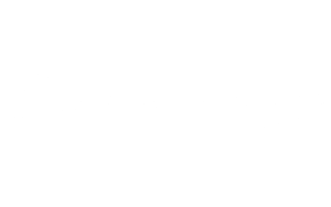 PNG_Gray Operations Group Logo Horizontal white